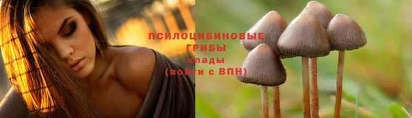MDMA Михайловск