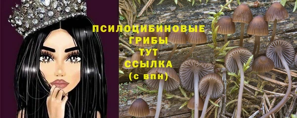 MDMA Михайловск