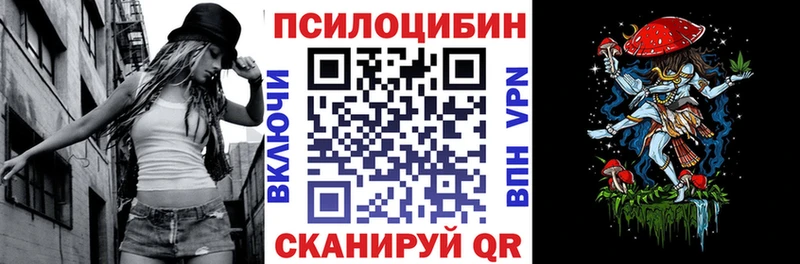 Галлюциногенные грибы MAGIC MUSHROOMS  закладка  Поворино 